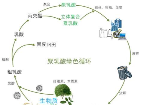 可降解物料有哪些類別及用途？